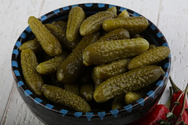 Pepinos pequeños en escabeche — Foto de Stock