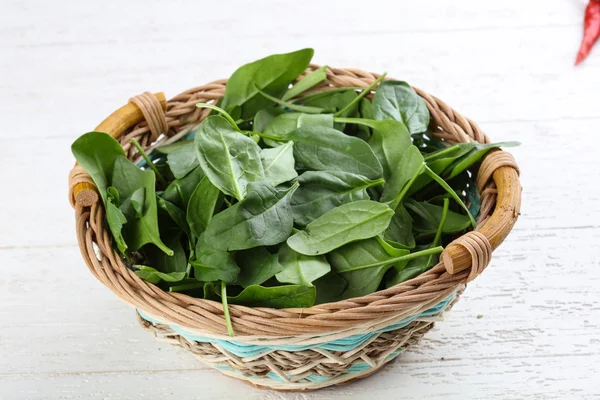 Spinach leaves in the basket — Stock Photo, Image