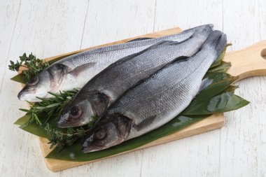 Çiğ deniz kabuğu balığı