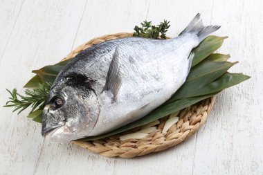 Lezzetli çiğ dorado