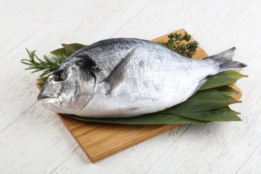 Ham dorado yemek pişirmek için hazır