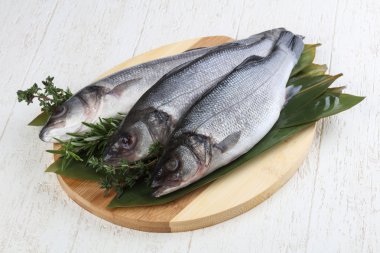 Çiğ deniz kabuğu balığı