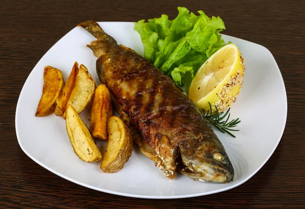 Delicious Grilled trout — Stock Photo, Image