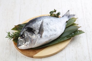 ham dorado balığı