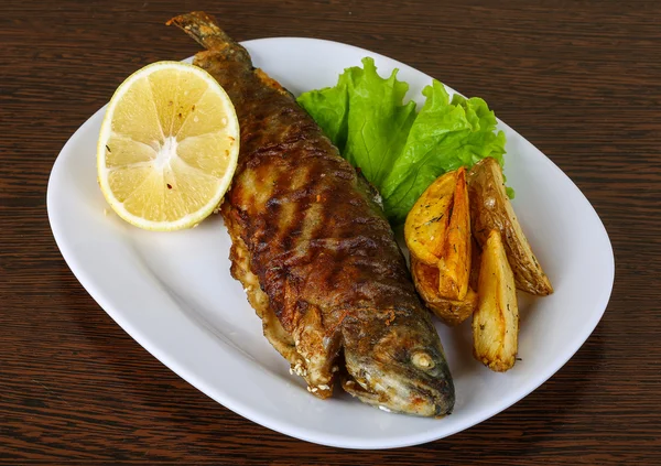 Delicious Grilled trout — Stock Photo, Image