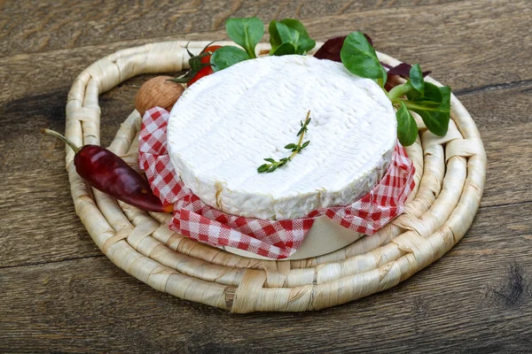 Delizioso formaggio camembert — Foto Stock