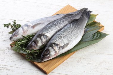 Çiğ deniz kabuğu balığı