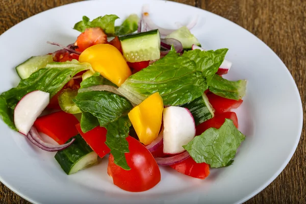 Taze sebze salatası. — Stok fotoğraf