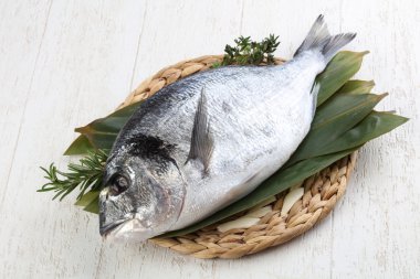 Ham dorado yemek pişirmek için hazır