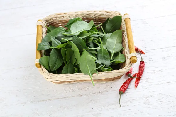 Verse rijpe spinazie bladeren — Stockfoto