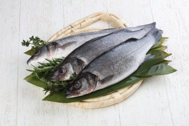 Çiğ deniz kabuğu balığı