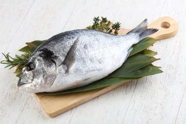 ham dorado balığı