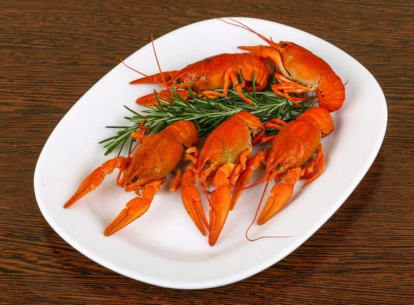 Boiled Crayfish with rosemary — Stock Photo, Image