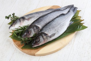 Çiğ deniz kabuğu balığı