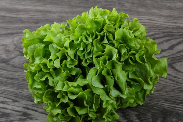 Folhas de salada verdes maduras — Fotografia de Stock