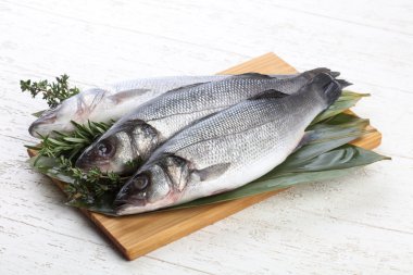 Çiğ deniz kabuğu balığı