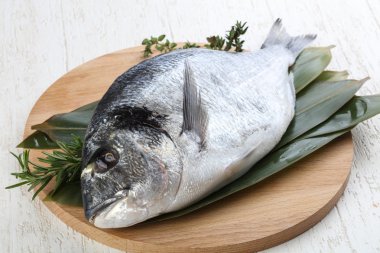 ham dorado balığı