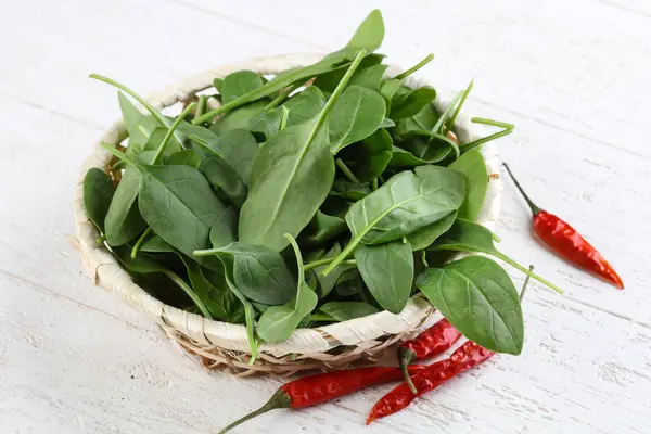 Verse rijpe spinazie bladeren — Stockfoto