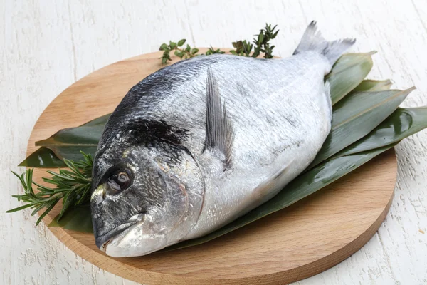 ham dorado balığı