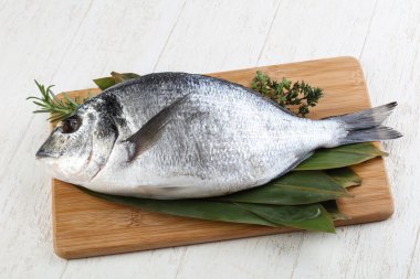 ham dorado balığı