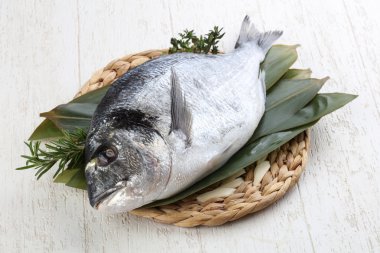 ham dorado balığı