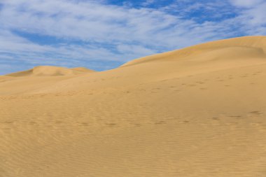 Kanarya çölde Gran Canaria ada