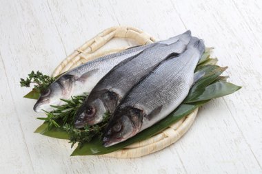 Çiğ deniz kabuğu balığı