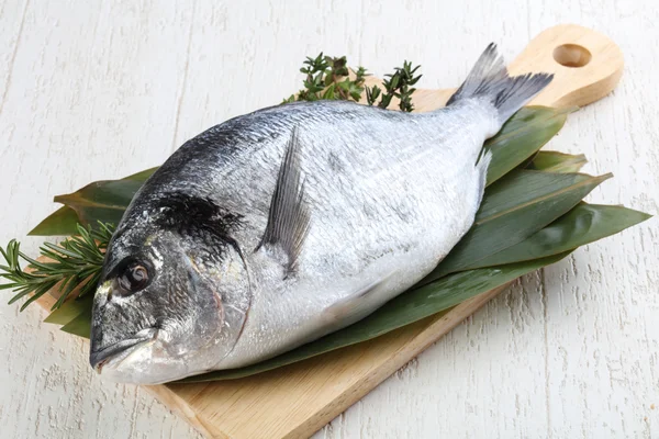 ham dorado balığı