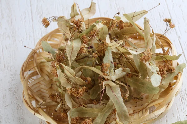 Dry linden flowers — Stock Photo, Image