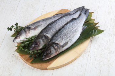 Çiğ deniz kabuğu balığı