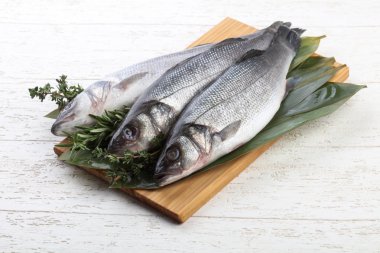 Çiğ deniz kabuğu balığı