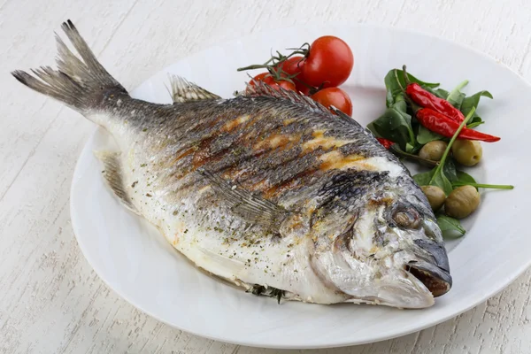 Dorado grelhado com tomates — Fotografia de Stock