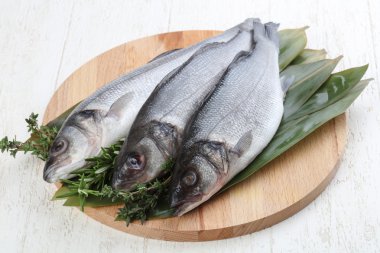 Çiğ deniz kabuğu balığı