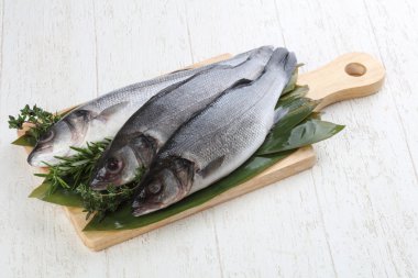 Çiğ deniz kabuğu balığı