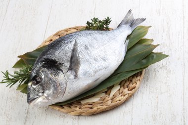 ham dorado balığı