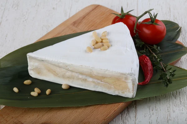 Delicioso queso Brie — Foto de Stock