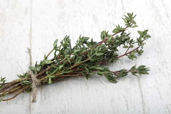 Grüner Thymianhaufen — Stockfoto