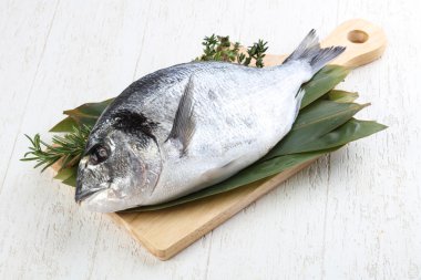 ham dorado balığı