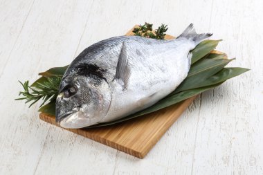 ham dorado balığı