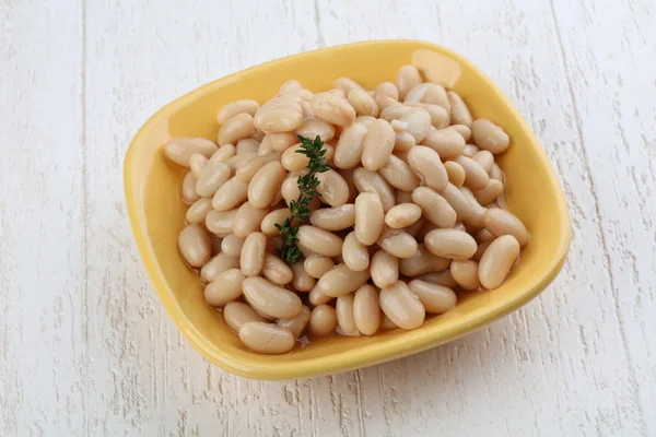 白インゲン豆の缶詰 — ストック写真