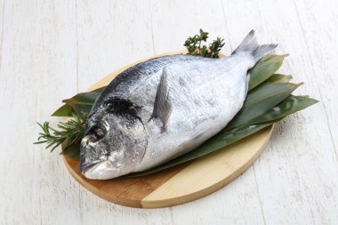 ham dorado balığı