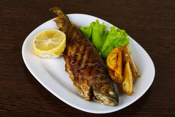 Grilled trout with potato — Stock Photo, Image