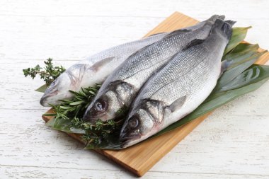 Çiğ deniz kabuğu balığı