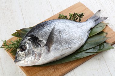 ham dorado balığı