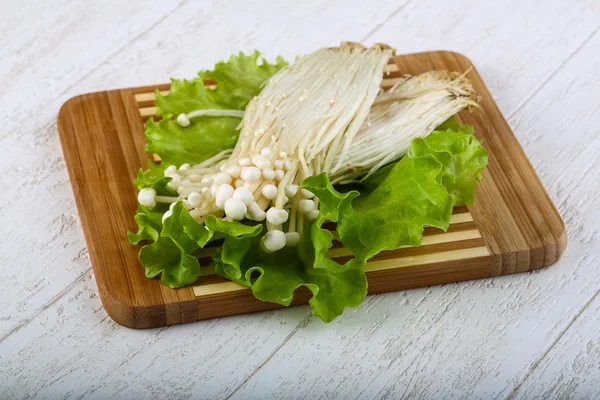 日本金针菇 — 图库照片