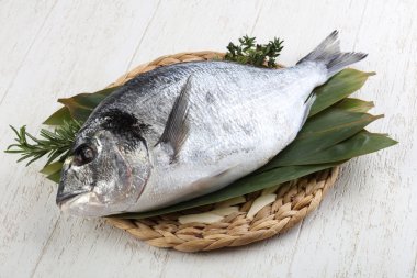 ham dorado balığı