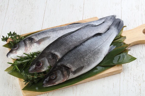 Çiğ deniz kabuğu balığı