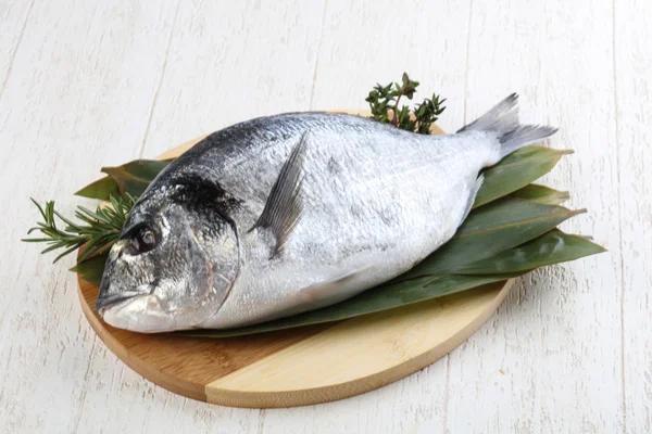 ham dorado balığı