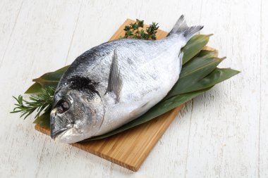 ham dorado balığı