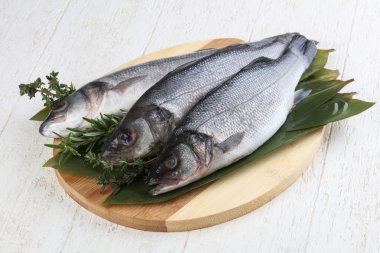 Çiğ deniz kabuğu balığı